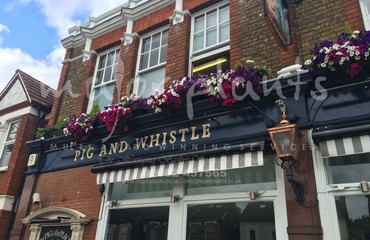 Window Boxes for Pubs_image_066