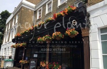 Window Boxes for Pubs_image_076
