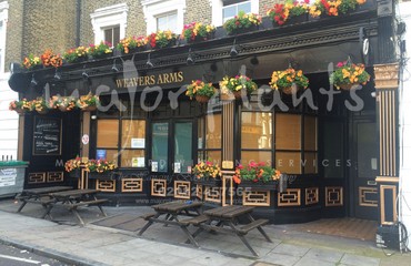Window Boxes for Pubs_image_081
