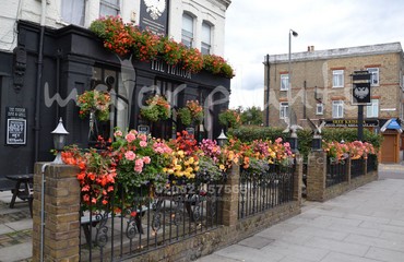 Window Boxes for Pubs_image_091
