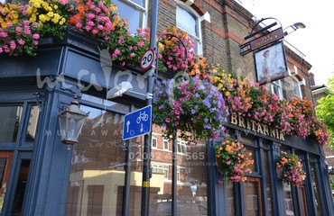 Window Boxes for Pubs_image_092