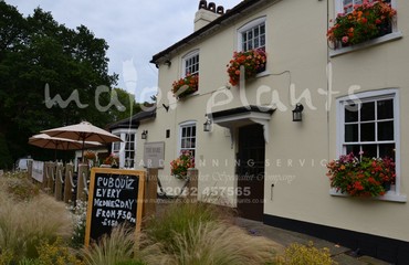 Window Boxes for Pubs_image_100