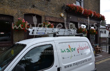 Window Boxes for Pubs_image_101
