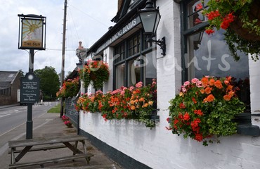 Window Boxes for Pubs_image_110