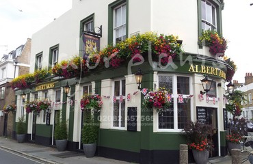 Window Boxes for Pubs_image_123