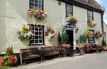 Window Boxes for Pubs_image_125