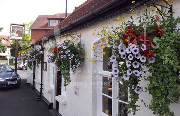 Window Boxes for Pubs_image_130