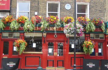 Window Boxes for Pubs_image_132