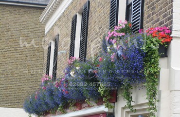 Window Boxes for Pubs_image_136