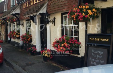 Window Boxes for Pubs_image_141