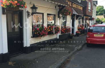 Window Boxes for Pubs_image_142